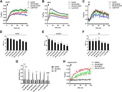 Mitochondria-targeted antioxidant SkQ1 inhibits leukotriene synthesis in human neutrophils